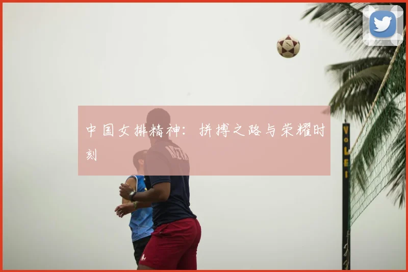 中国女排精神:拼搏之路与荣耀时刻